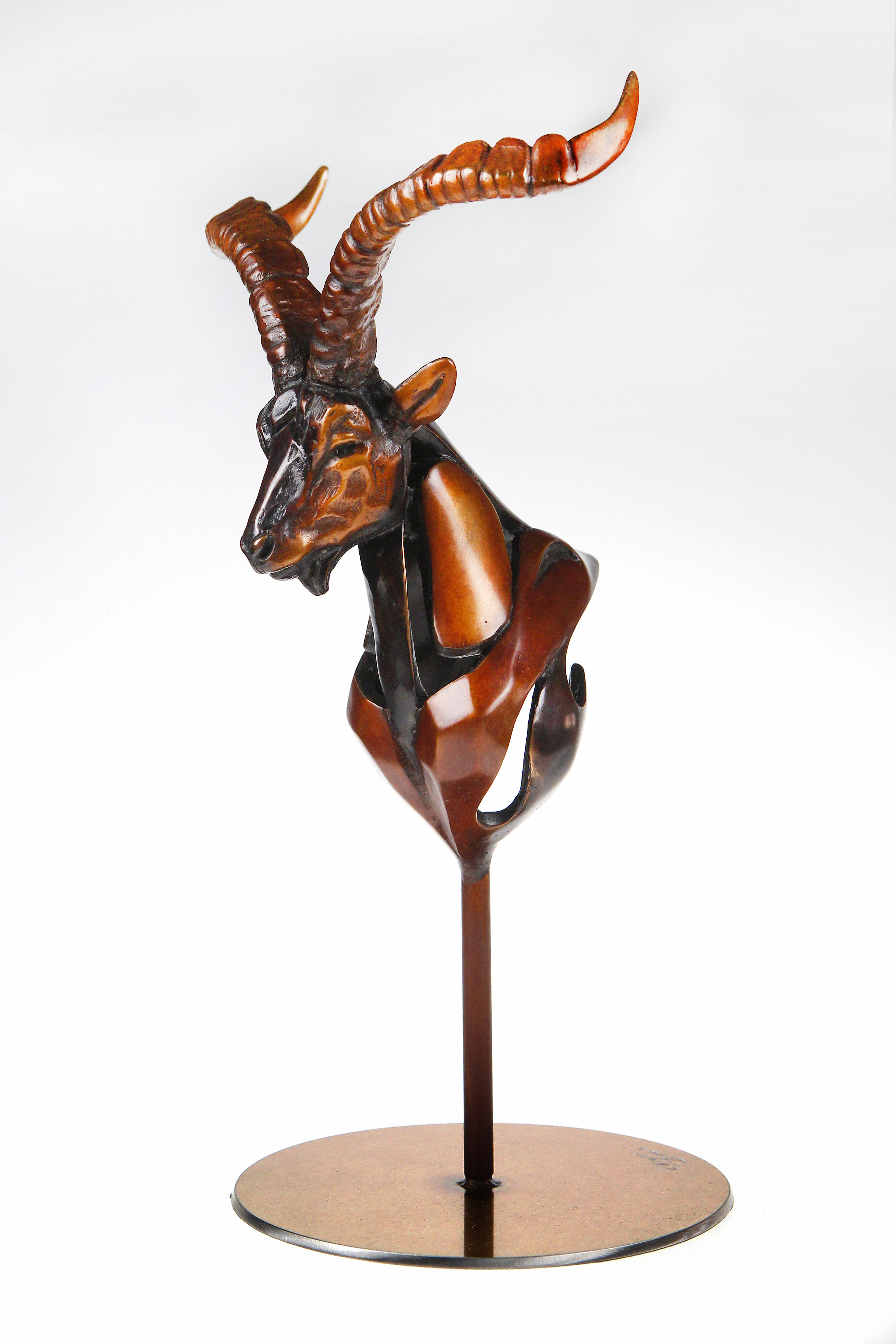 Awards Expo Cinegetica