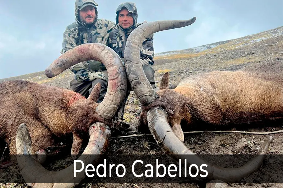 Candidato Premio Ricardo Medem 2026 - 3