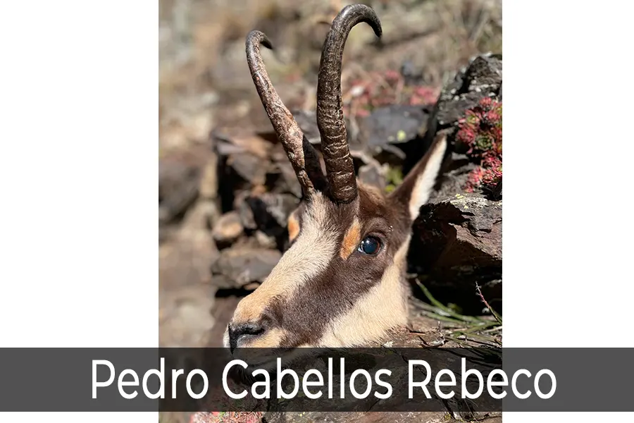 Candidato Premio Ricardo Medem 2026 - 4