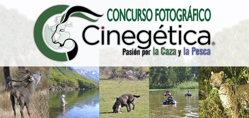Aquí están los ganadores del concurso fotográfico de Cinegética 2015