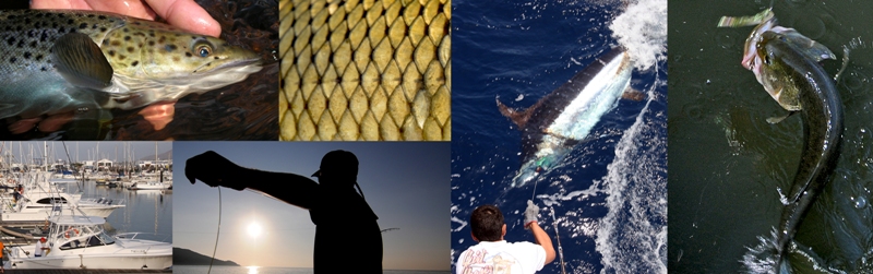 Pasión por la Pesca en Cinegética 2016