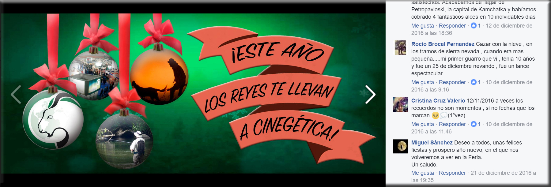IMAGEN