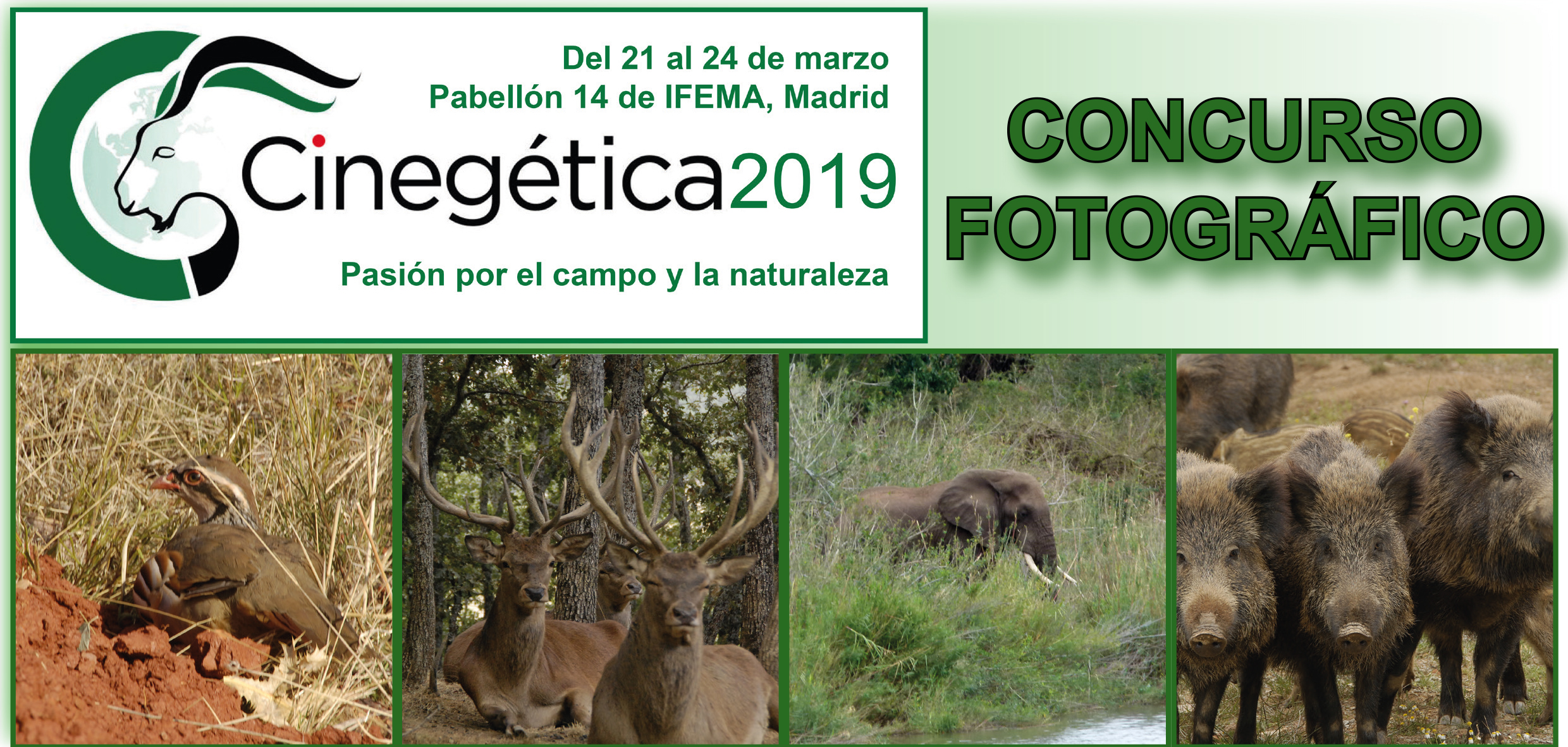 CONCURSO FOTOGRÁFICO CINEGÉTICA 2019