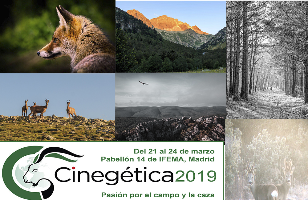 Ganadores Concurso Fotográfico Cinegética 2019