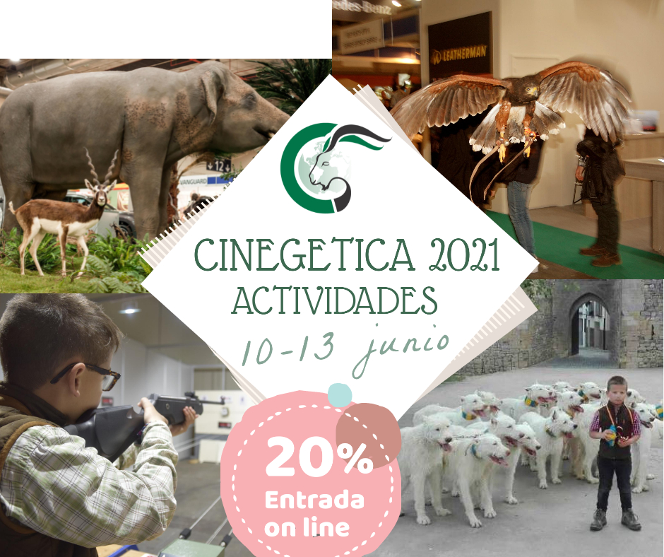 IMAGEN