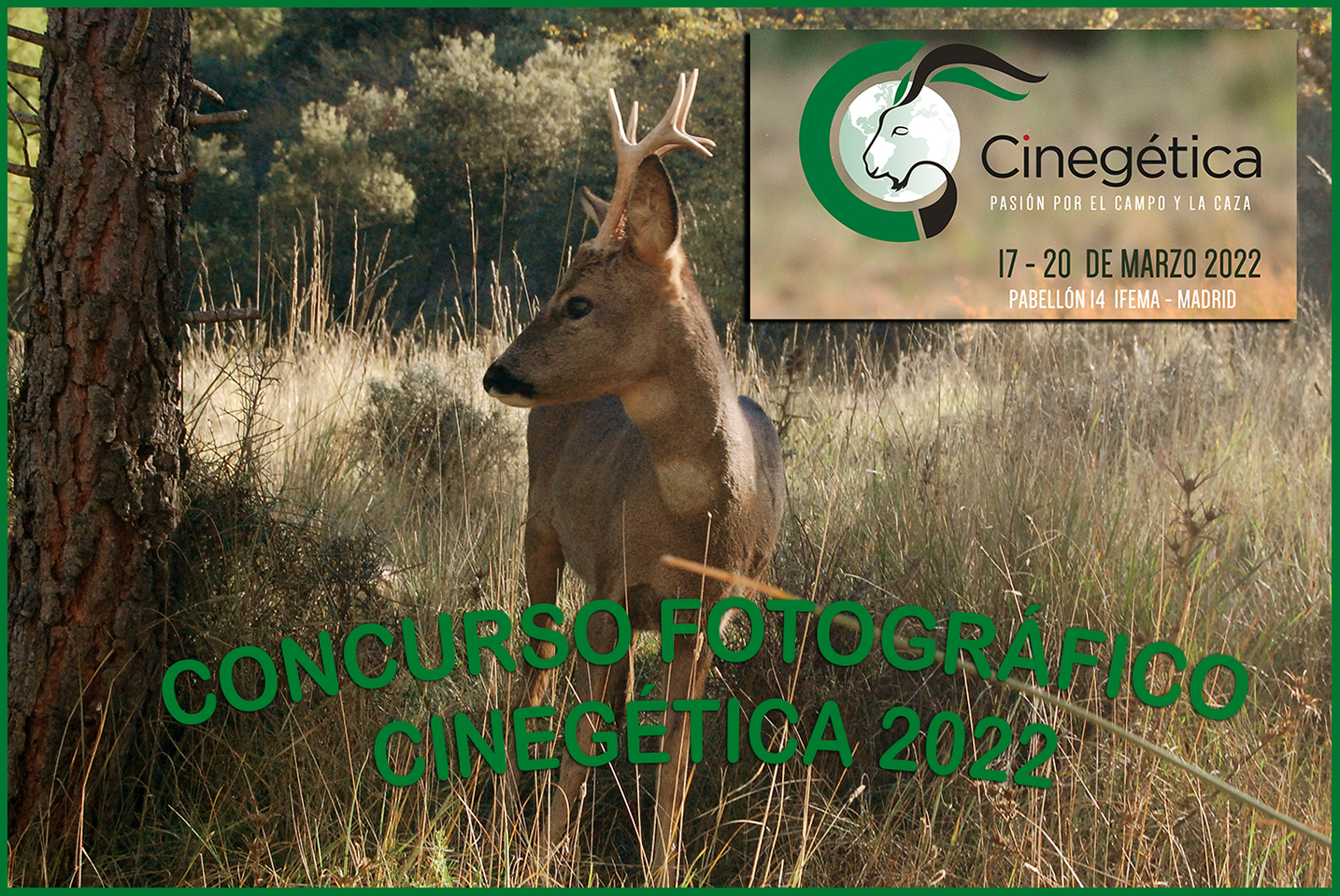 Concurso fotográfico, caza y naturaleza, Cinegética 2022