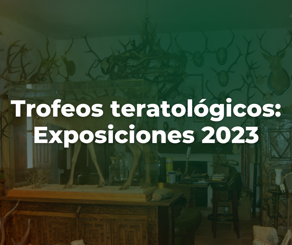 Don't miss Paco Mena's Teratology Museum at Cinegética 2023