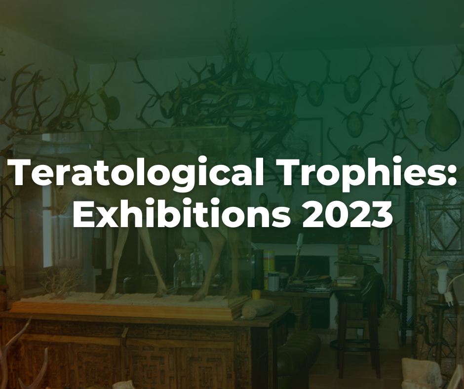 Don't miss Paco Mena's Teratology Museum at Cinegética 2023