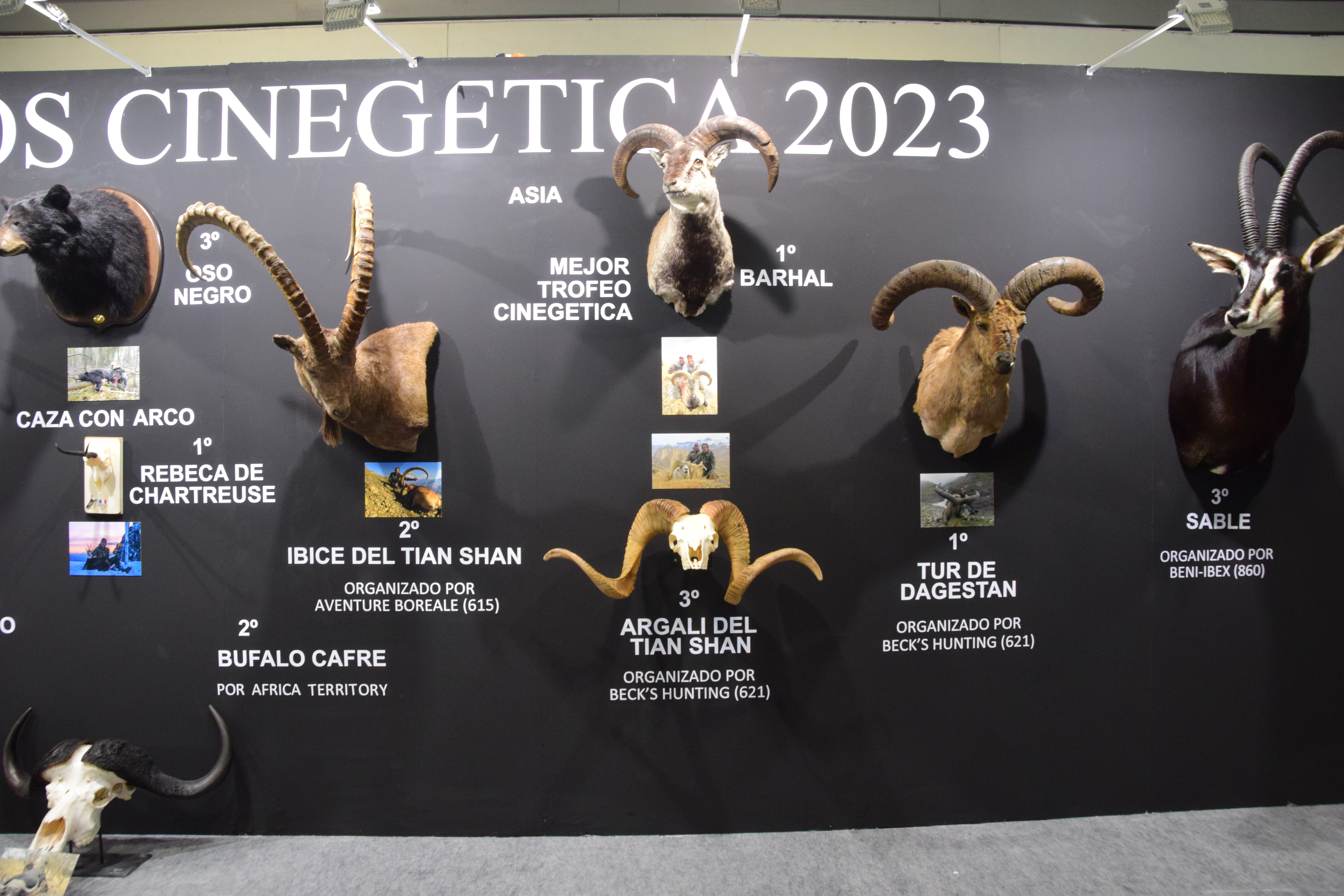 XI edition of the 2024 Hunting Awards for foreign hunting trophies