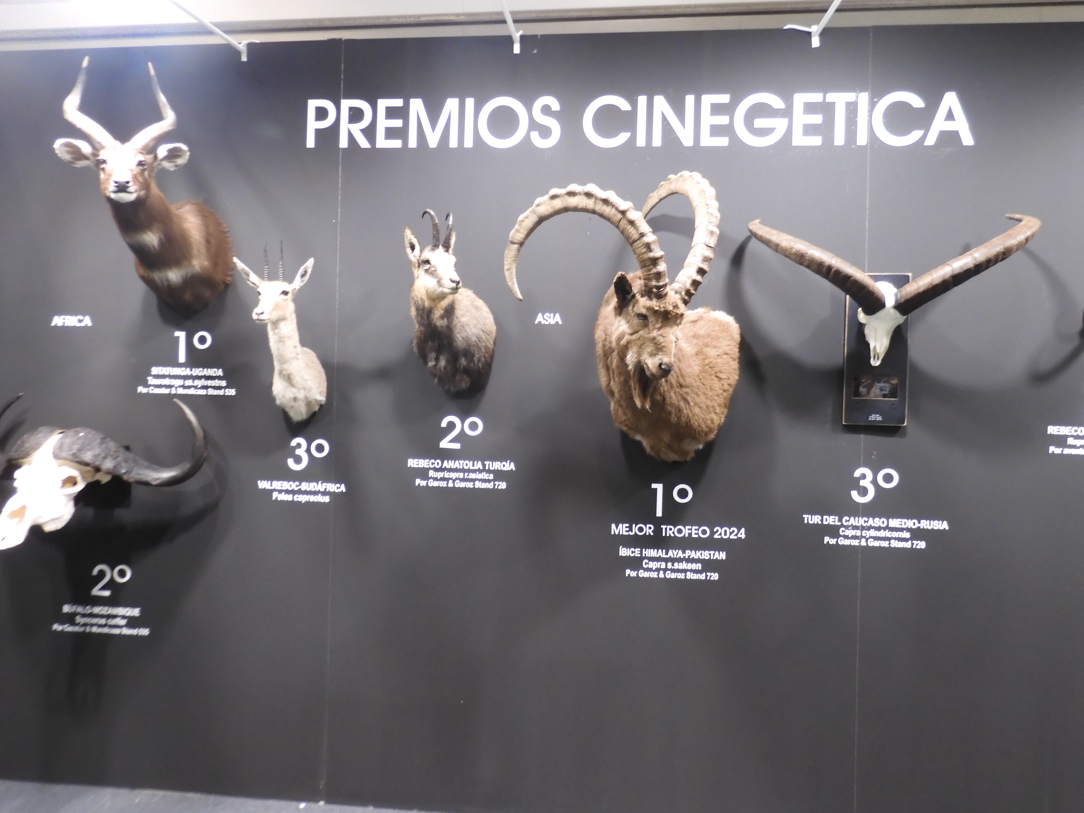 12th edition of the Cinegética+SCI 2025 Awards for foreign hunting trophies