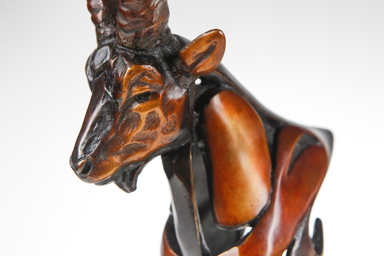 Premio Ricardo Medem: el galardón internacional que distingue los grandes trofeos de caza