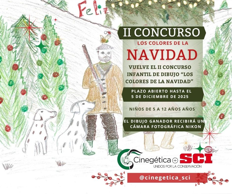 II Concurso infantil de dibujo “Los Colores de la Navidad”