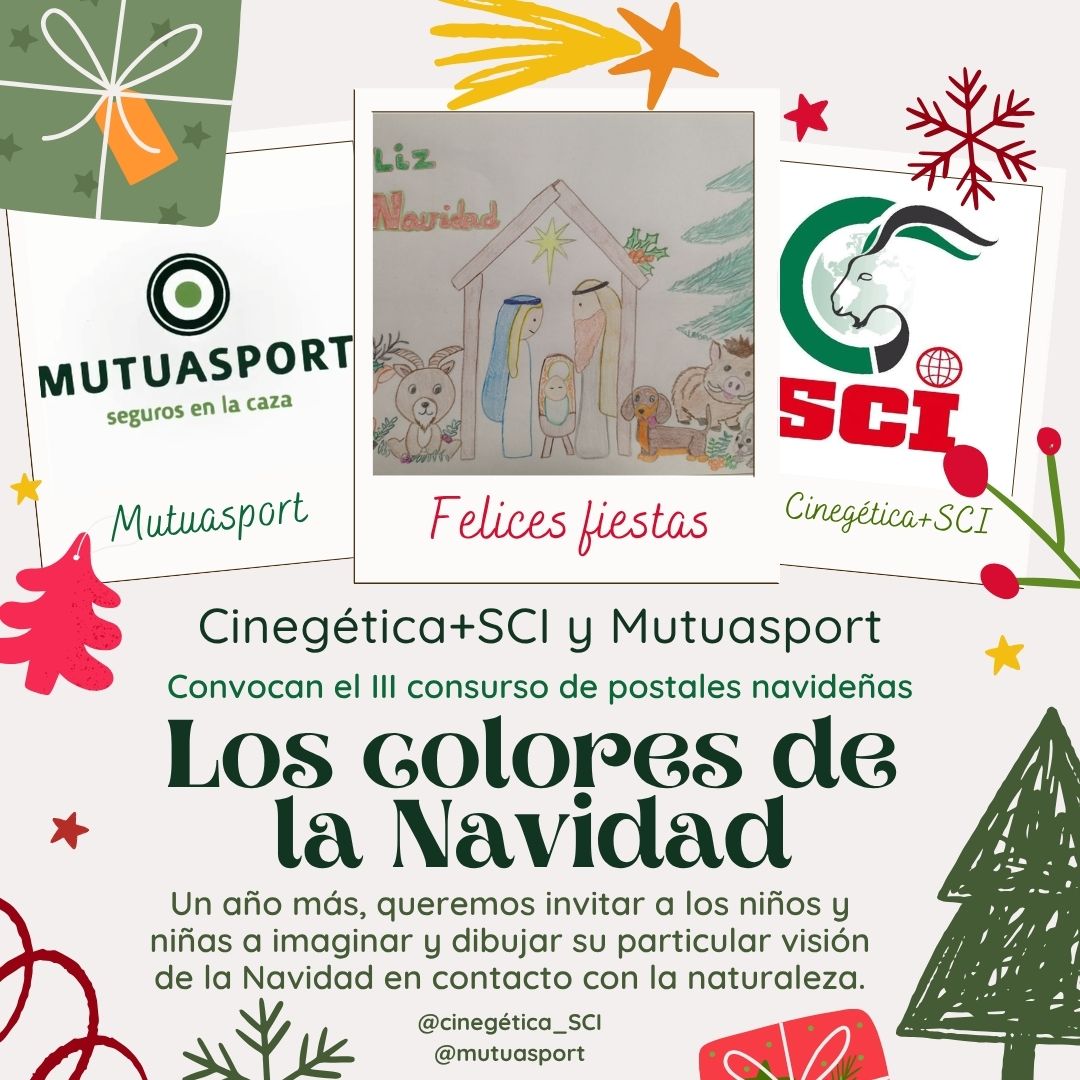 THE COLOURS OF CHRISTMAS