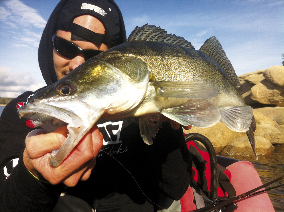 pesca depredadores_b