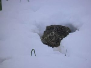 ANA BELEN PARRA LANCHA2_looking for shelter